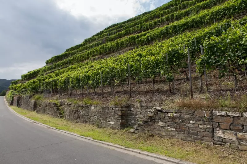 Ahrweiler (c) Dagobert Wiedamann